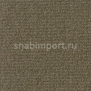 Ковровое покрытие Desso Perfect 240 коричневый — купить в Москве в интернет-магазине Snabimport