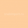 Светофильтр Rosco E-Color+ 442 Half CT Straw Бежевый — купить в Москве в интернет-магазине Snabimport