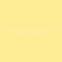 Светофильтр Rosco E-Color+ 764 Sun Colour Straw желтый — купить в Москве в интернет-магазине Snabimport