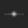 Светофильтр Rosco E-Color+ 401 Light Rolux чёрный — купить в Москве в интернет-магазине Snabimport