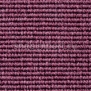 Ковровое покрытие Carpet Concept Eco 1 66163 Фиолетовый — купить в Москве в интернет-магазине Snabimport