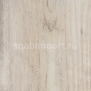 Виниловый ламинат Alpinefloor ECO107-6 Сосна Арктик — купить в Москве в интернет-магазине Snabimport
