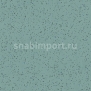 Противоскользящий линолеум Polyflor Polysafe Ecomax 4628 Apple Mint — купить в Москве в интернет-магазине Snabimport