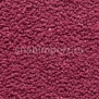 Ковровое покрытие Edel Corona 31 Raspberry