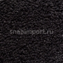 Ковровое покрытие Edel Corona 48 Graphite