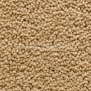 Ковровое покрытие Edel Corona 82 Clay