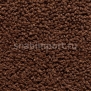 Ковровое покрытие Edel Corona 83 Mocha