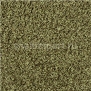 Ковровое покрытие Ege Soft Dreams Lux 729353 зеленый — купить в Москве в интернет-магазине Snabimport