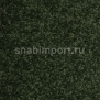 Ковровое покрытие Ege Texture Care Plain 678350 зеленый — купить в Москве в интернет-магазине Snabimport