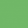 Краска Oikos Фасадная линия ELASTRONG VENEZIA FINE Elas-fine-CP4400 зеленый — купить в Москве в интернет-магазине Snabimport