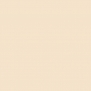 Краска Oikos Фасадная линия ELASTRONG VENEZIA FINE Elas-fine-CP5140 Бежевый — купить в Москве в интернет-магазине Snabimport