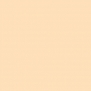Краска Oikos Фасадная линия ELASTRONG VENEZIA FINE Elas-fine-EX1730 Бежевый — купить в Москве в интернет-магазине Snabimport