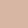 Краска Oikos Фасадная линия ELASTRONG VENEZIA FINE Elas-fine-EX1810 коричневый — купить в Москве в интернет-магазине Snabimport
