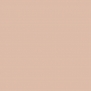 Краска Oikos Фасадная линия ELASTRONG VENEZIA FINE Elas-fine-EX1820 коричневый — купить в Москве в интернет-магазине Snabimport