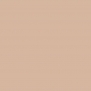 Краска Oikos Фасадная линия ELASTRONG VENEZIA FINE Elas-fine-EX1850 коричневый — купить в Москве в интернет-магазине Snabimport