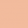 Краска Oikos Фасадная линия ELASTRONG VENEZIA FINE Elas-fine-EX2060 коричневый — купить в Москве в интернет-магазине Snabimport