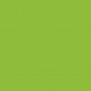 Краска Oikos Фасадная линия ELASTRONG VENEZIA FINE Elas-fine-EX2950 зеленый — купить в Москве в интернет-магазине Snabimport