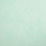 Краска Oikos Фасадная линия ELASTRONG VENEZIA FINE Elas-fine-TL194 голубой — купить в Москве в интернет-магазине Snabimport