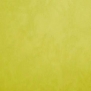 Краска Oikos Фасадная линия ELASTRONG VENEZIA FINE Elas-fine-TL291 зеленый — купить в Москве в интернет-магазине Snabimport