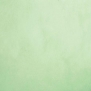 Краска Oikos Фасадная линия ELASTRONG VENEZIA FINE Elas-fine-TL303 зеленый — купить в Москве в интернет-магазине Snabimport