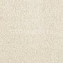 Ковровое покрытие Karastan Elegantly Soft Downy Mist