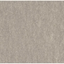 Ковровое покрытие Associated Weavers Euphoria 39 Серый — купить в Москве в интернет-магазине Snabimport