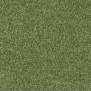 Ковровое покрытие Lano Euphoria 590 MOSS зеленый — купить в Москве в интернет-магазине Snabimport