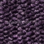 Ковровое покрытие Condor Carpets Fact 251 Фиолетовый — купить в Москве в интернет-магазине Snabimport