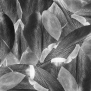 Ковровое покрытие Forbo Flotex Vision Floral-001588 Серый — купить в Москве в интернет-магазине Snabimport