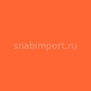 Флуоресцентная краска Rosco Fluorescent 5781 Orange оранжевый — купить в Москве в интернет-магазине Snabimport