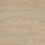 Акустический линолеум Polyflor Acoustix Forest fx PUR 3095 Oiled Oak — купить в Москве в интернет-магазине Snabimport