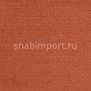 Ковровое покрытие ITC Balta Fortesse 16 коричневый — купить в Москве в интернет-магазине Snabimport