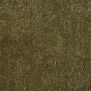 Ковровое покрытие ITC NLF Gloss-19044 Forrest