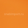 Спортивные покрытия Gerflor Taraflex™ Multi-Use 5.0 6134 — купить в Москве в интернет-магазине Snabimport