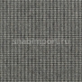 Ковровое покрытие Carpet Concept Goi 3 270506 Серый — купить в Москве в интернет-магазине Snabimport