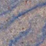 Фальшпол из сульфата кальция с покрытием CBI Europe Granite-Macauba Azul S