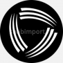 Гобо металлические Rosco Graphics 77655 чёрный — купить в Москве в интернет-магазине Snabimport