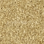 Ковровое покрытие Balsan Hamilton 720 GINGER