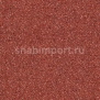 Ковровое покрытие ITC Hercules 65 коричневый — купить в Москве в интернет-магазине Snabimport