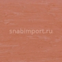 Транспортный линолеум для речного транспорта Tarkett Horizon Marine 004 Красный — купить в Москве в интернет-магазине Snabimport