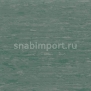 Транспортный линолеум для речного транспорта Tarkett Horizon Marine 006 зеленый — купить в Москве в интернет-магазине Snabimport