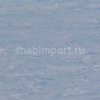 Транспортный линолеум для речного транспорта Tarkett Horizon Marine 010 синий — купить в Москве в интернет-магазине Snabimport