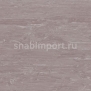 Транспортный линолеум для речного транспорта Tarkett Horizon Marine 011 Серый — купить в Москве в интернет-магазине Snabimport