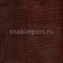 Паркетная доска Admonter Design Edition Intensive бук темный коричневый — купить в Москве в интернет-магазине Snabimport