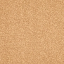 Ковровое покрытие Associated Weavers Isotta-35