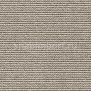 Ковровое покрытие Carpet Concept Isy R dune