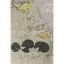 Ковры Jacaranda Carpets JC6060 Lily pond silver — купить в Москве в интернет-магазине Snabimport