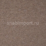 Ковровое покрытие Hammer carpets DessinJupiter 428-14 коричневый — купить в Москве в интернет-магазине Snabimport