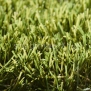 Искусственная трава Lano Laurus — купить в Москве в интернет-магазине Snabimport