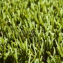 Искусственная трава Lano Thyme — купить в Москве в интернет-магазине Snabimport